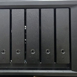 시놀로지 DS1522+ NAS 랜카드10G 20TB HDD