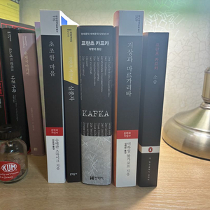 고전문학 초조한 마음,소송,실종자,카프카단편선,소송