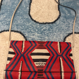 코치 패턴 숄더백