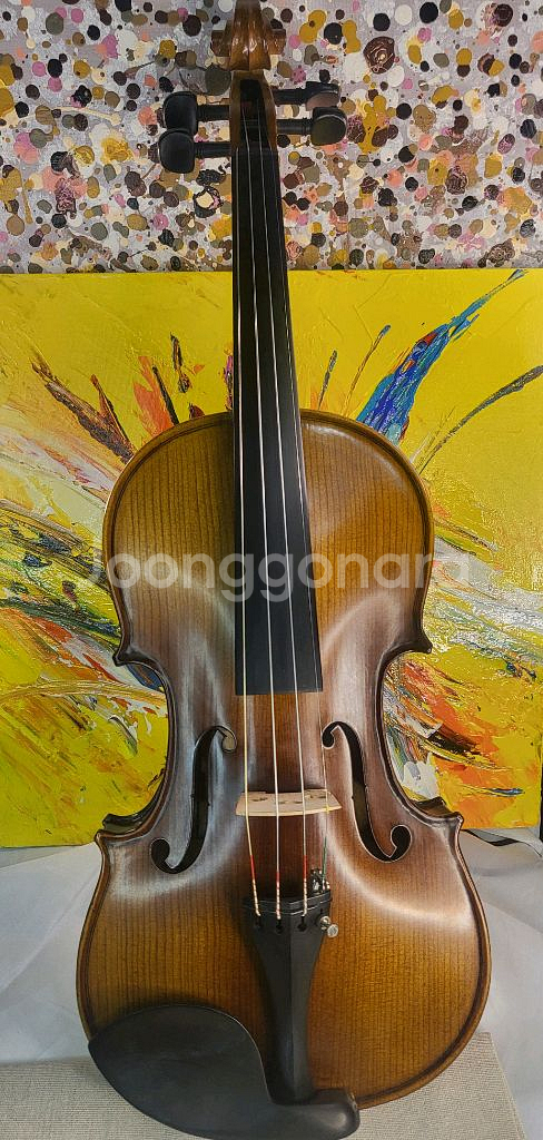 입문 4/4 (고급현) 바이올린 풀세트--0