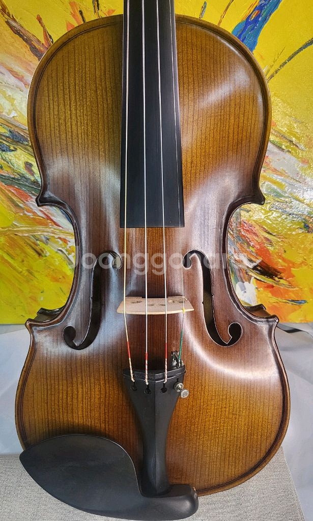 입문 4/4 (고급현) 바이올린 풀세트--1