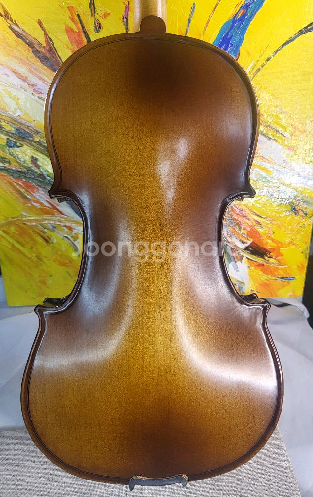 입문 4/4 (고급현) 바이올린 풀세트--5