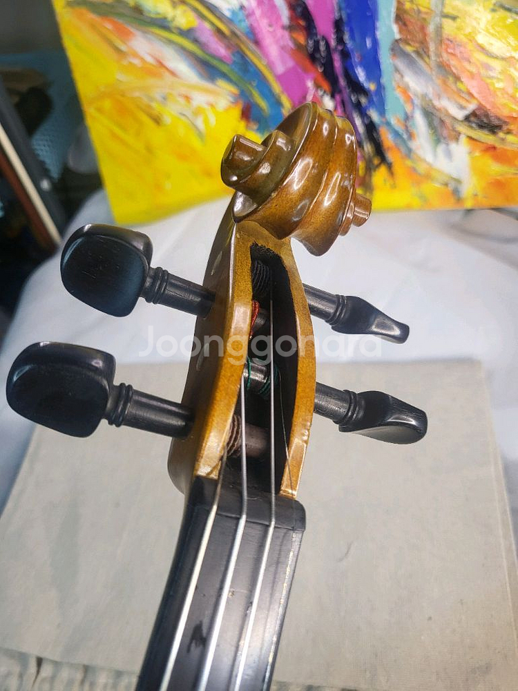 입문 4/4 (고급현) 바이올린 풀세트--6