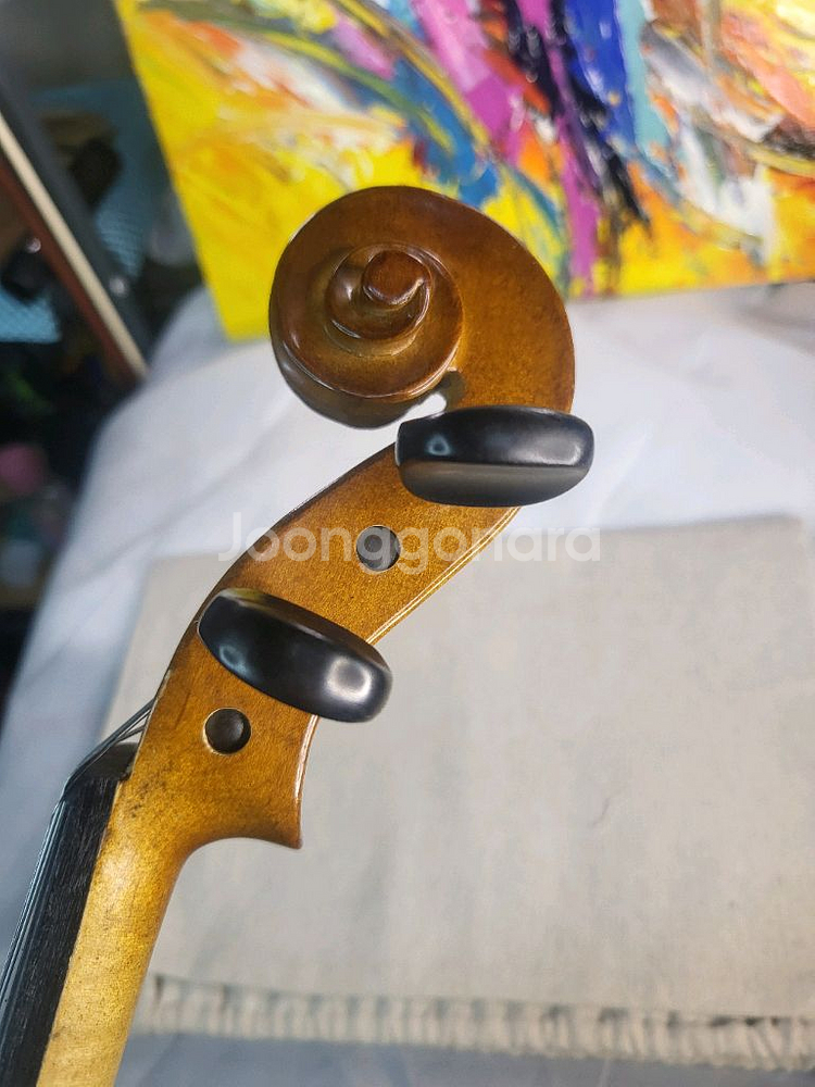 입문 4/4 (고급현) 바이올린 풀세트--7