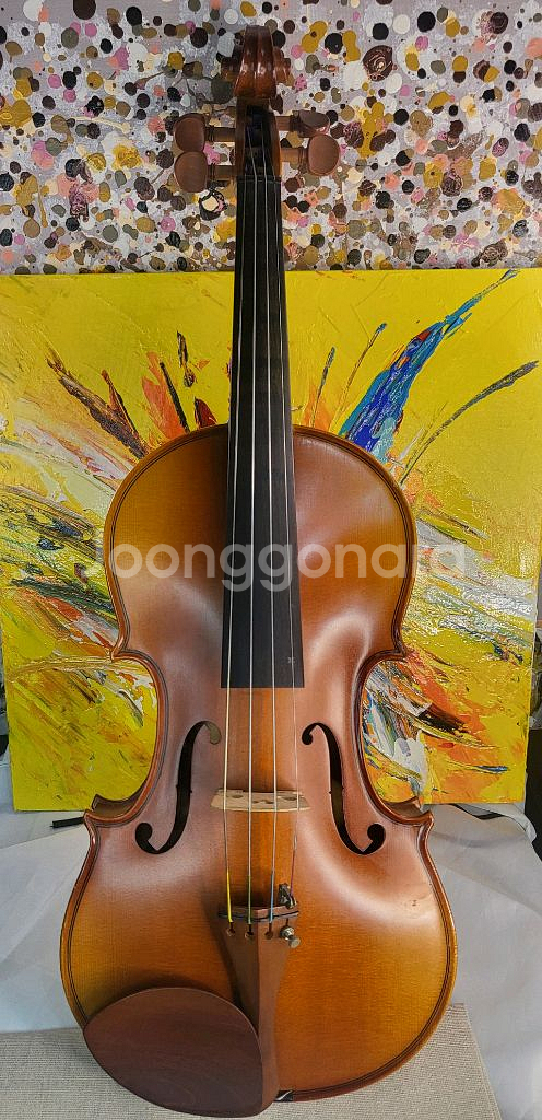 입문 초보 바이올린 4/4 풀세트 (고급 현--0