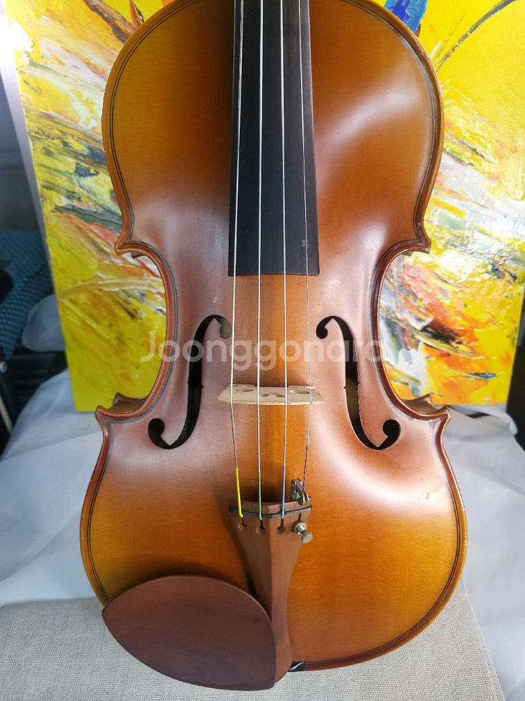 입문 초보 바이올린 4/4 풀세트 (고급 현--1