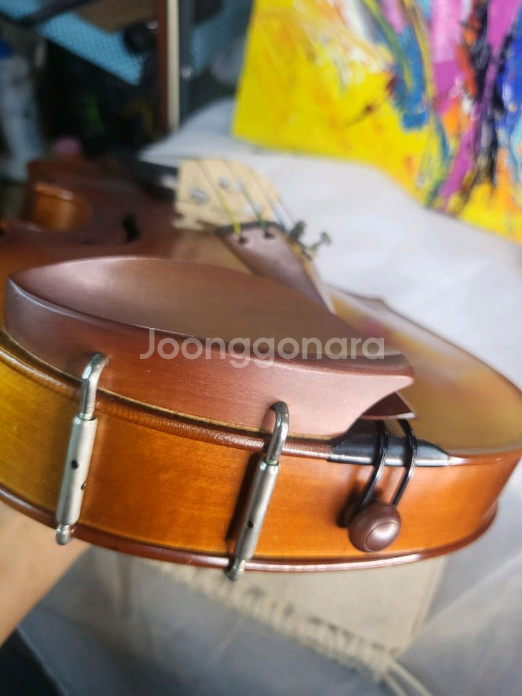 입문 초보 바이올린 4/4 풀세트 (고급 현--2