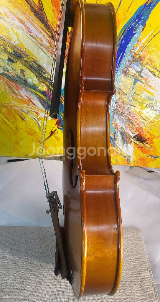 입문 초보 바이올린 4/4 풀세트 (고급 현--3