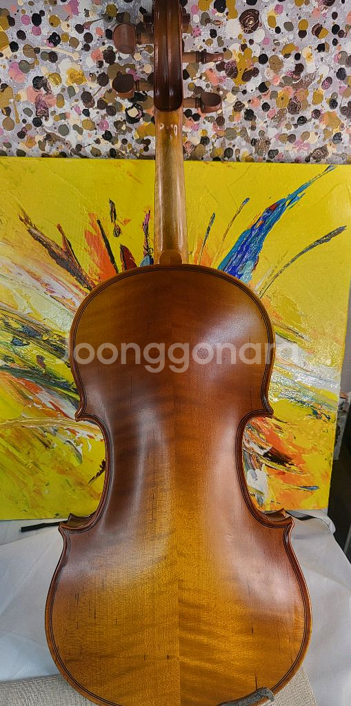 입문 초보 바이올린 4/4 풀세트 (고급 현--4