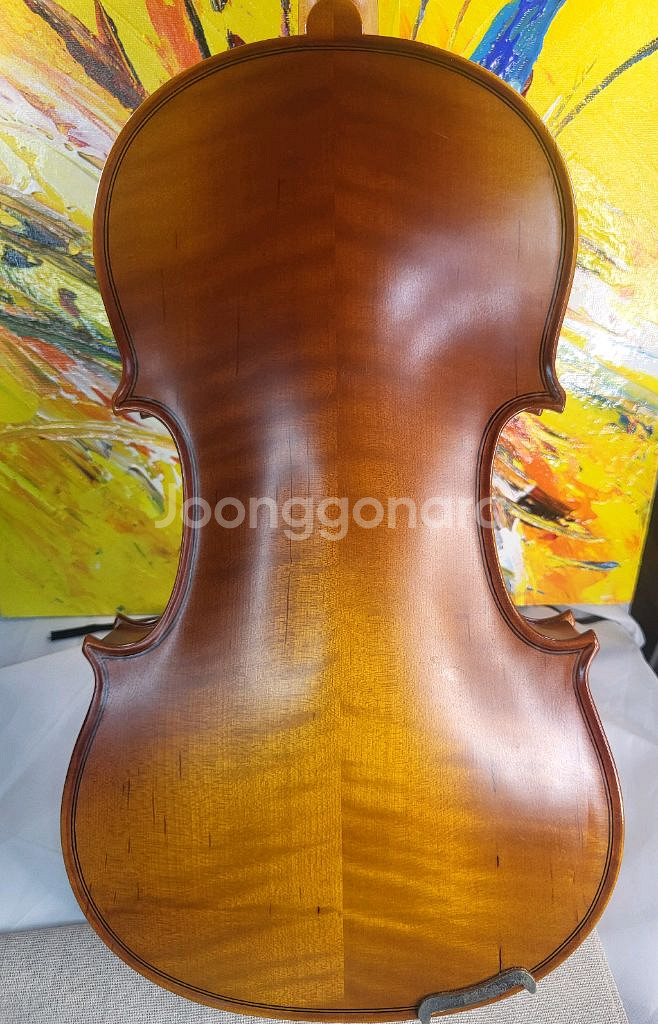 입문 초보 바이올린 4/4 풀세트 (고급 현--5