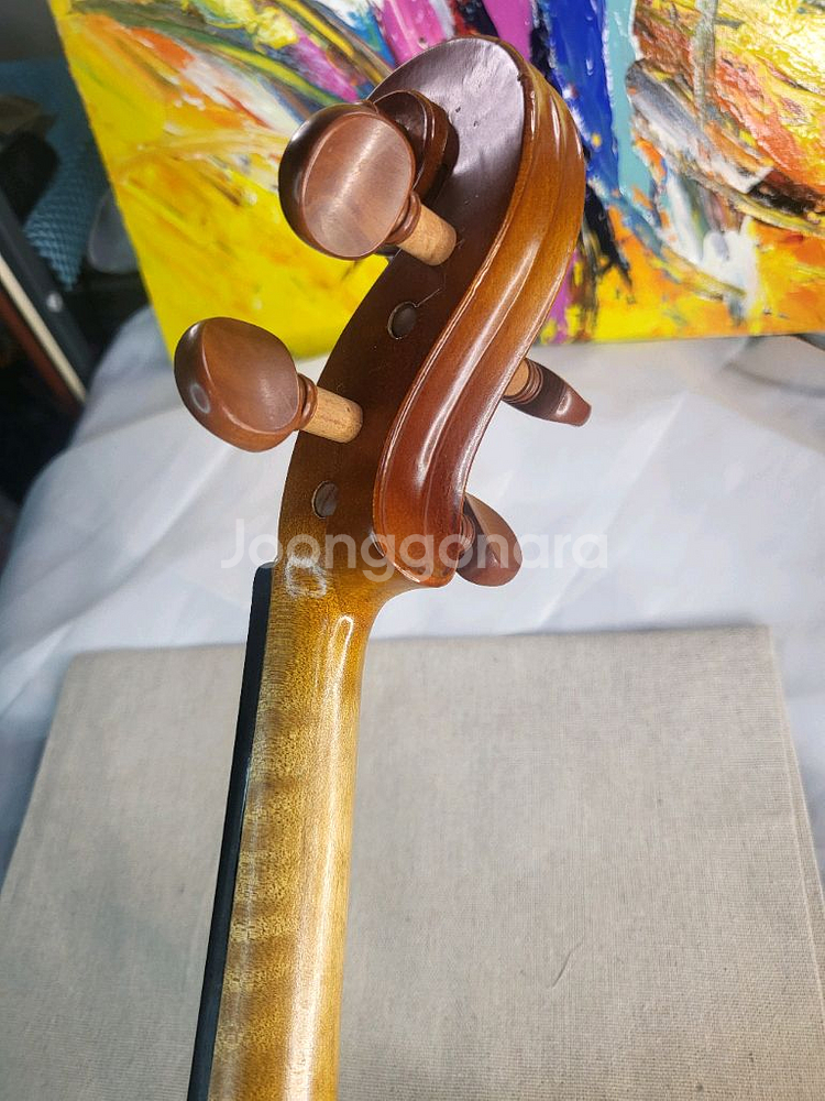 입문 초보 바이올린 4/4 풀세트 (고급 현--6