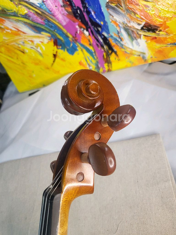 입문 초보 바이올린 4/4 풀세트 (고급 현--7