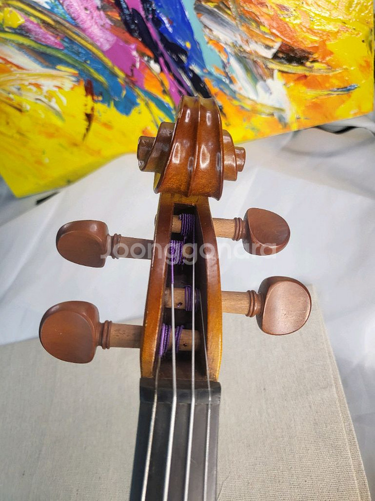 입문 초보 바이올린 4/4 풀세트 (고급 현--8