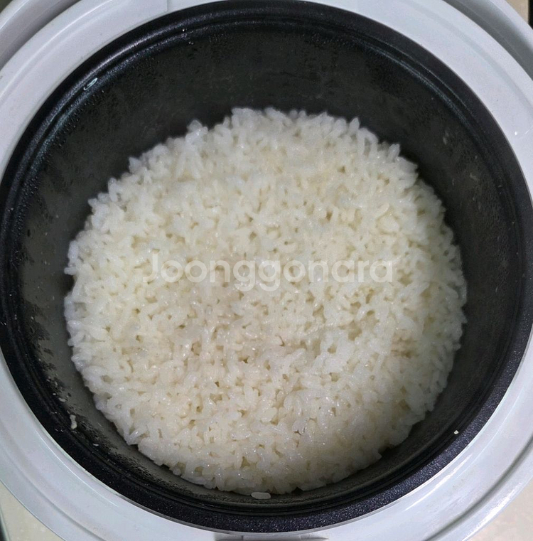 엠엔 3인용 미니 전기밥솥--5