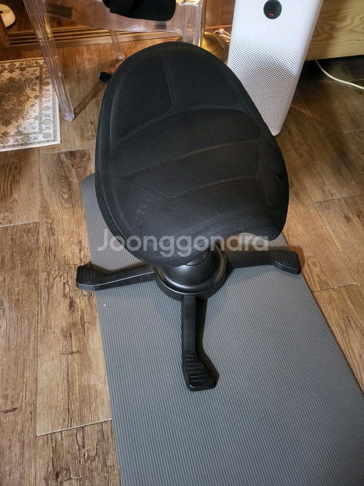 체어마이스터 승마의자 컴퓨터의자 디스크 예방--1