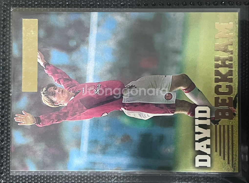 멀린 프리미어 골드 축구카드--0