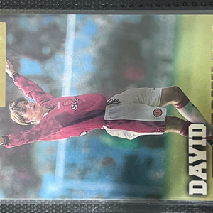 멀린 프리미어 골드 축구카드