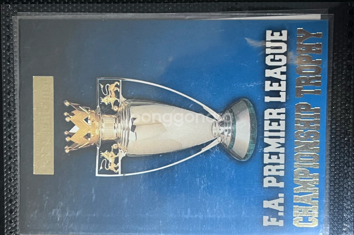 멀린 프리미어 골드 축구카드--7