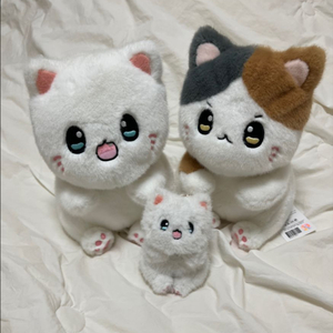 코네코짱인줄 우소우소짱 인형 세트+키링 (반택포함 2.1)