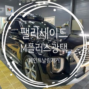 팰리세이드 페인트날림제거 광택