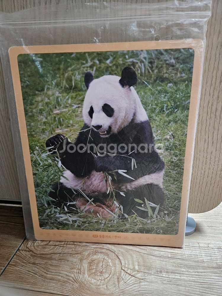 그레이트북스 놀라운자연 개정전--4