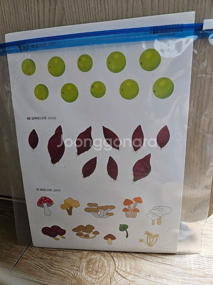 그레이트북스 놀라운자연 개정전--5