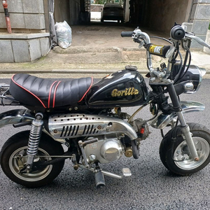 중몽 고릴라 50cc 오토바이