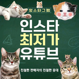 최저가 인스타 팔로워 좋아요 조회수 판매 / 유튜브 틱톡도 가능! 이미지