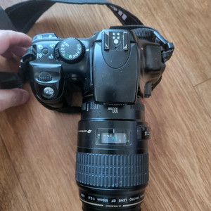 캐논 eos 300d +100mm 망원렌즈 이미지