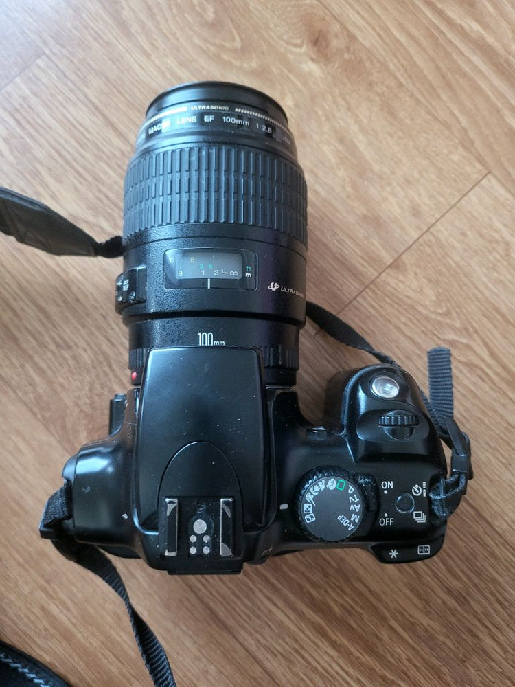 캐논 eos 300d +100mm 망원렌즈 이미지