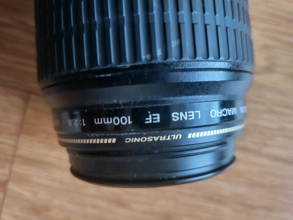 캐논 eos 300d +100mm 망원렌즈 이미지