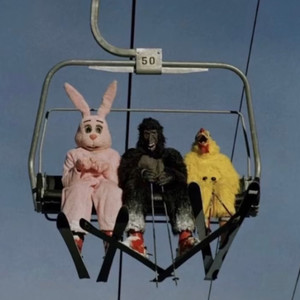 스키장 시즌권 구매합니다 당일 이미지