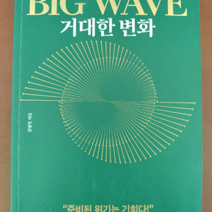 책 도서 빅 웨이브 김영익