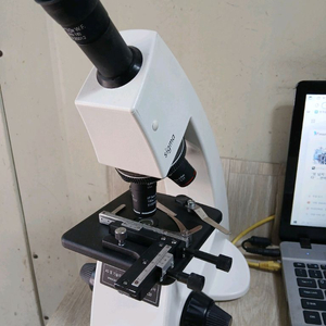 LABOMED 시그마단안생물현미경 이미지