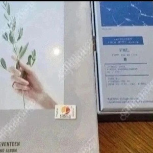 세븐틴 2집+미니 10집/보아 1집 싱글+4집