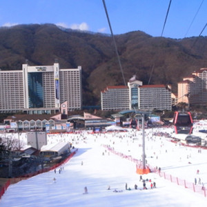 비발디파크 객실 1.3일, 1.10일 각 양도