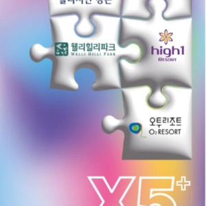 25/26시즌 X5 시즌권 구매원합니다!