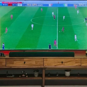 LG 55인치 OLED TV + TV다이