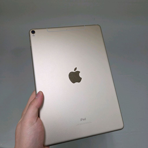 아이패드프로 10.5 A1709 256기가 셀룰러 팝니다