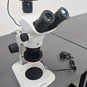 올림푸스 실체현미경SZ61TR CAMERA 이미지