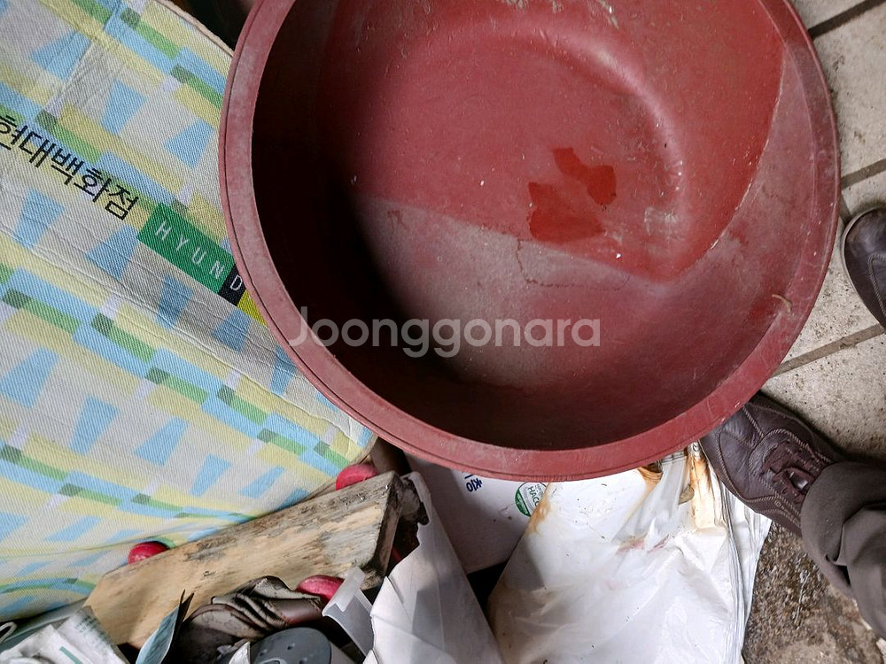 55*20 고무 다라이--1