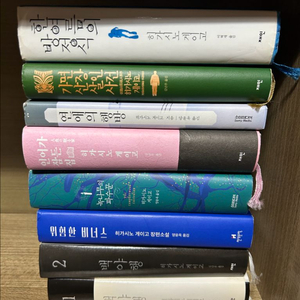 히가시노게이고 소설