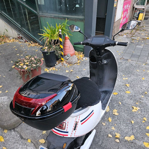 전기스쿠터 시티플라이 c40