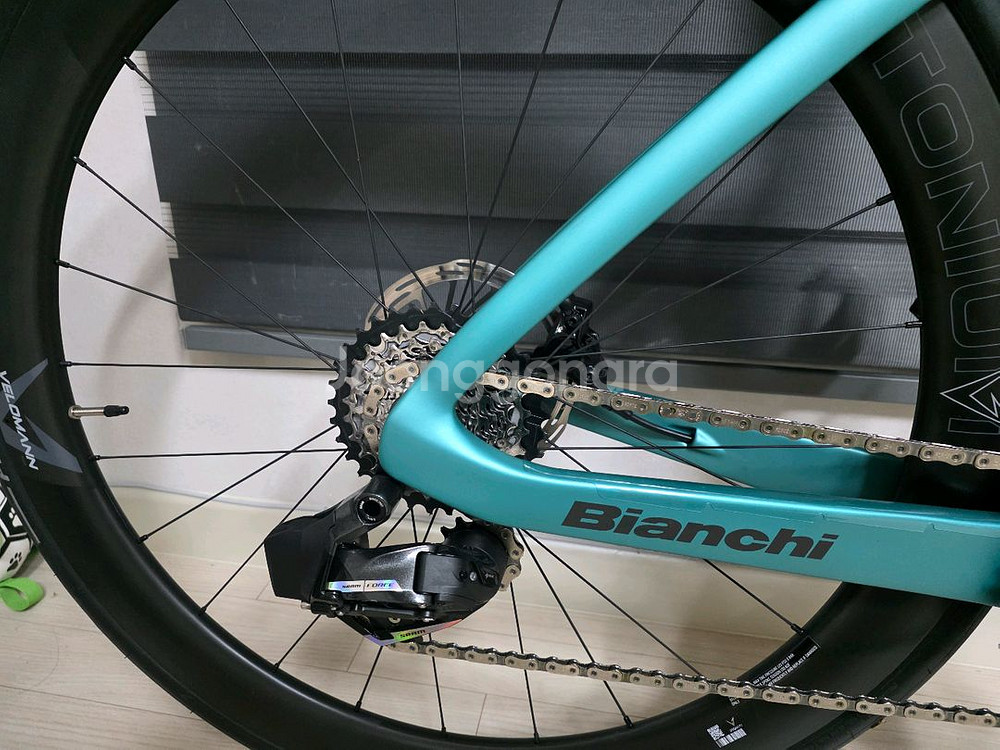 25년 비앙키 올트레프로--2