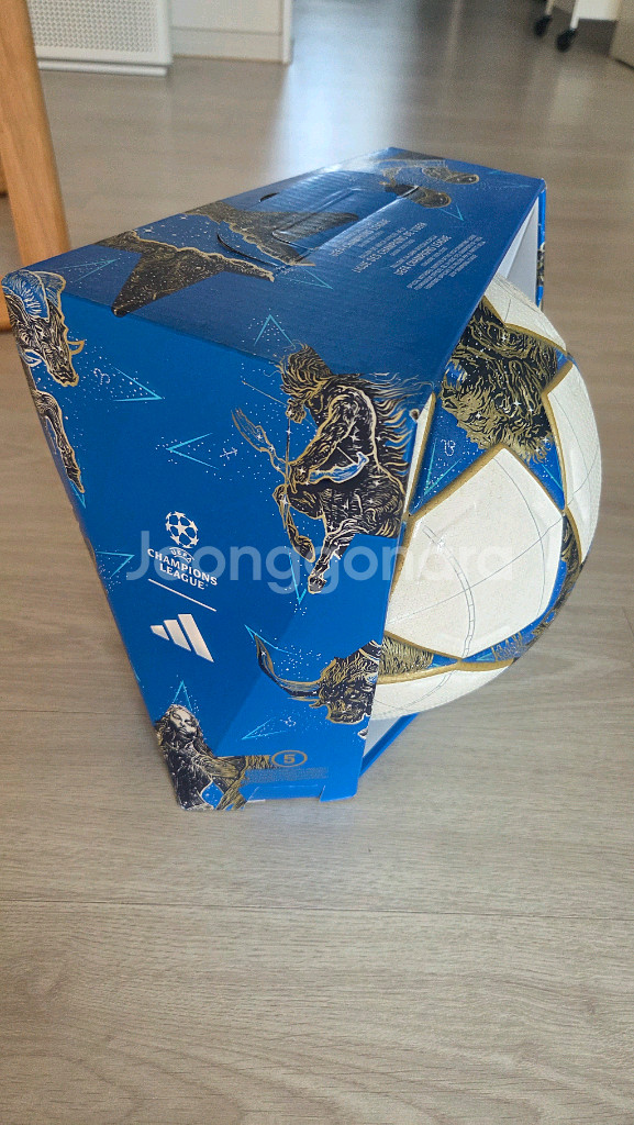 아디다스 챔피언스리그 25/26 UCL Pro 매치볼--2