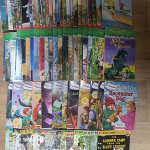 매직트리하우스, 캘린더 미스테리, 블랙라군