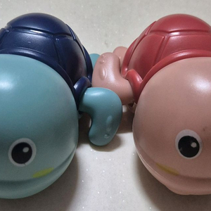 파닥파닥 거북이 2마리