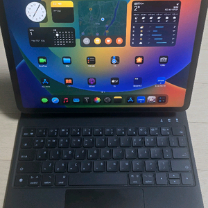 아이패드프로 m1 11인치 256g 판매합니다