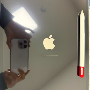 아이패드 프로 3세대 12.7 256 셀룰러 효율 86% 펜슬포함