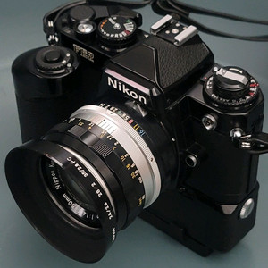 NIKON FE2 필름카메라 해바라기 NIKKOR-S 50mm f1.4 MOTOR MD-12 이미지